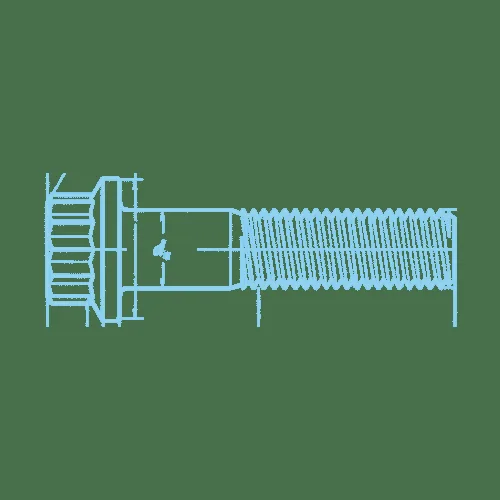 12 pointed flanged